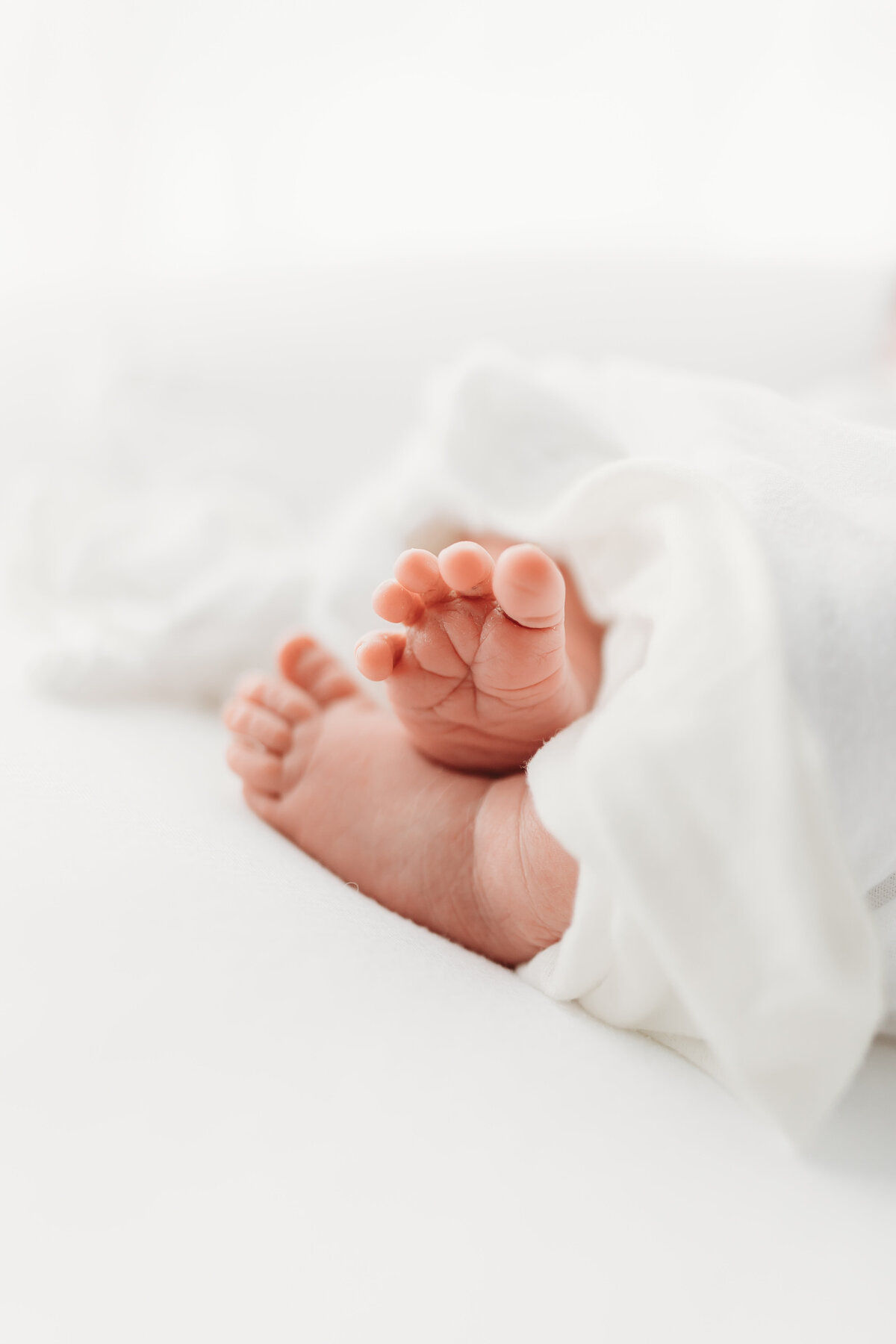 CDC - Hall Newborn 2023-025