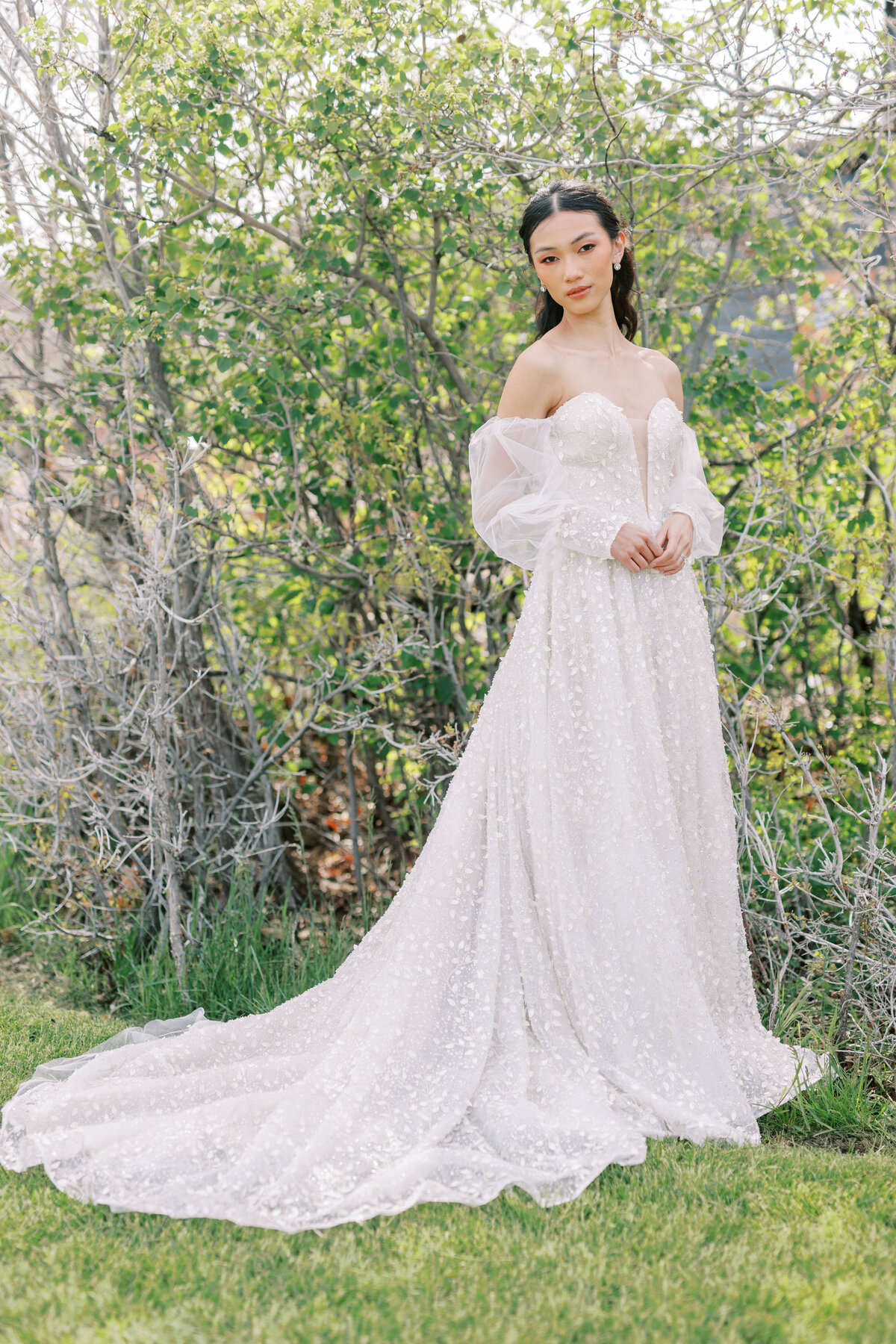 Blue Sky Editorial -1261