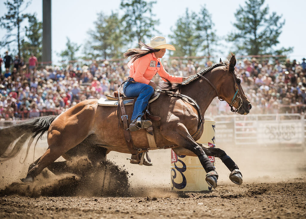 20240609_kya-photography-equestrian-photographer_0011