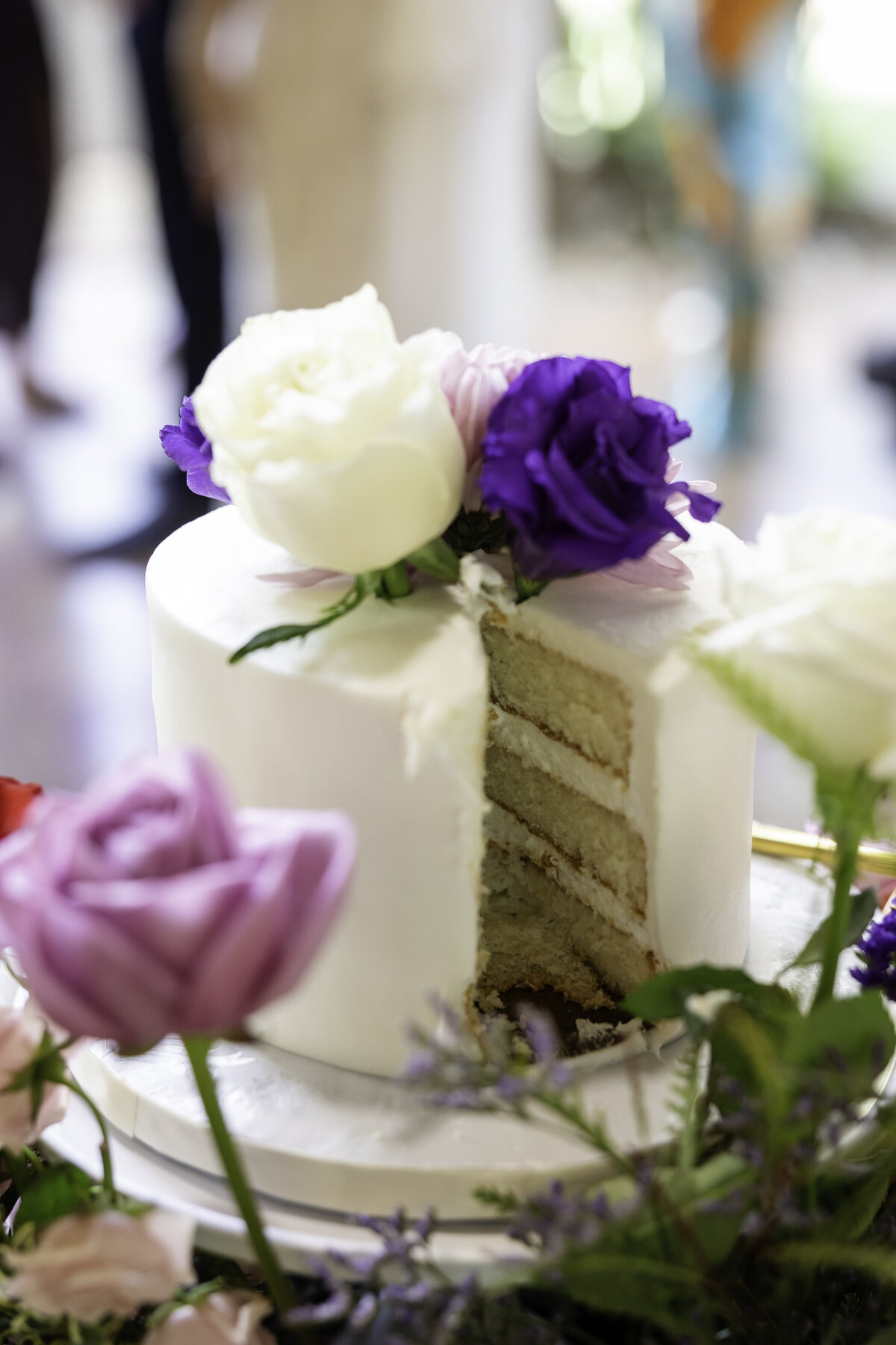 0206-cara-dehart-lewis-photography-del-favero-oasis-tampa-elopement-in-florida-chantilly-chic-celebrations