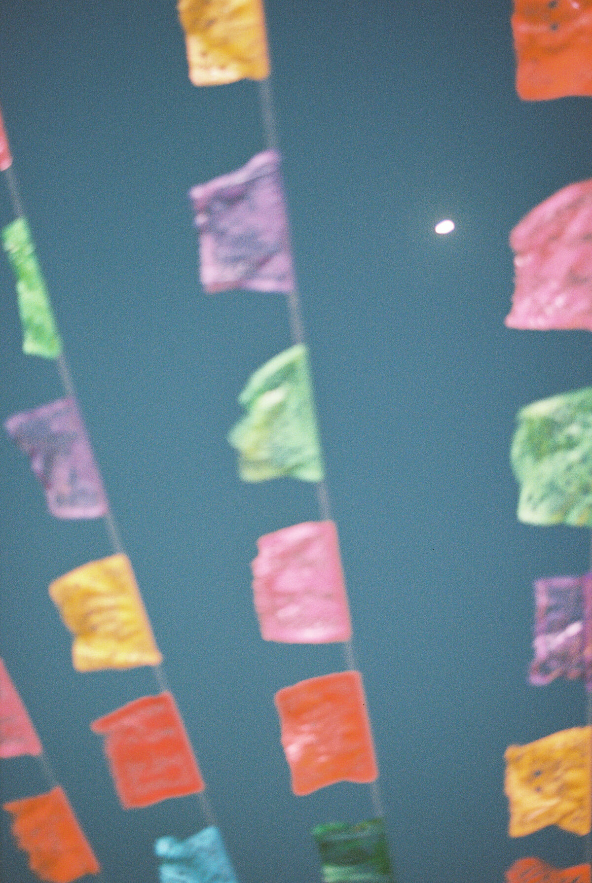 Britni-Chris-Film_0144