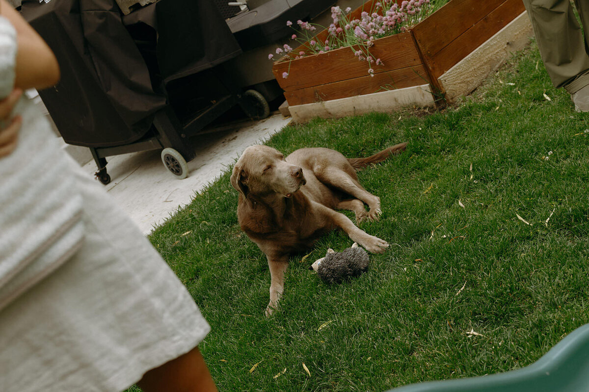 6.9.2025 - The Schultz Family_ Newborn-45