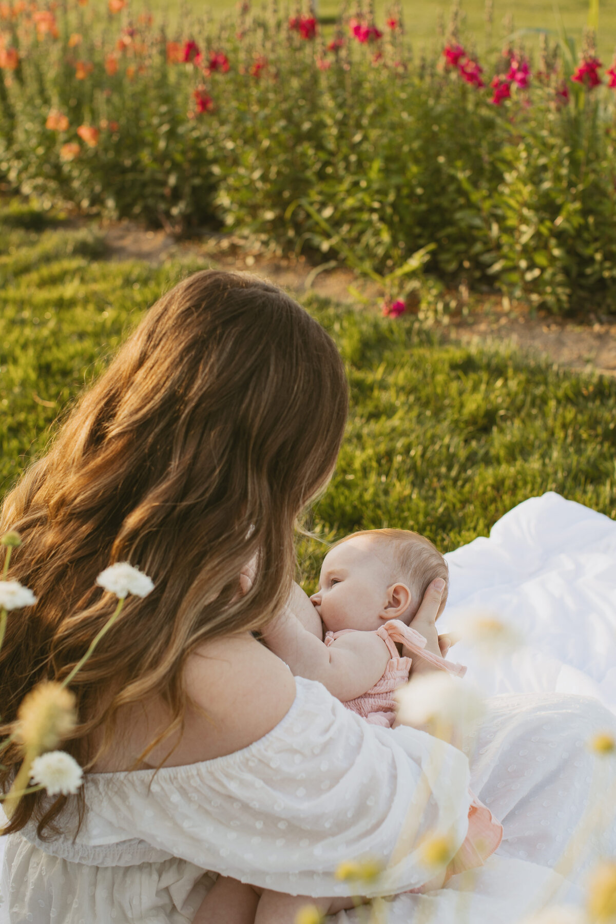 woodsfamily-photos-boise-idaho-garden-summer-katie-longwill-photojulyfamily-photos-boise-idaho-garden-summer-katie-longwill-photo2025family-photos-boise-idaho-garden-summer-katie-longwill-photo50