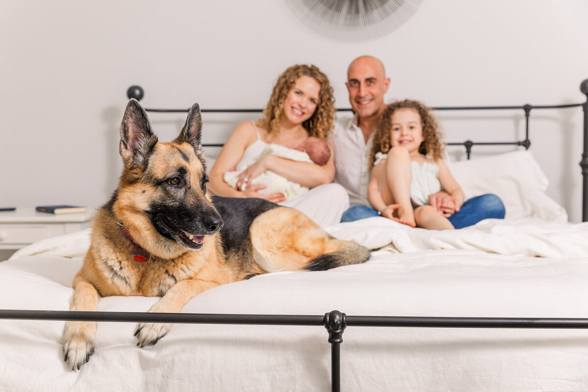 newborn and family and dog sitting on parents bed