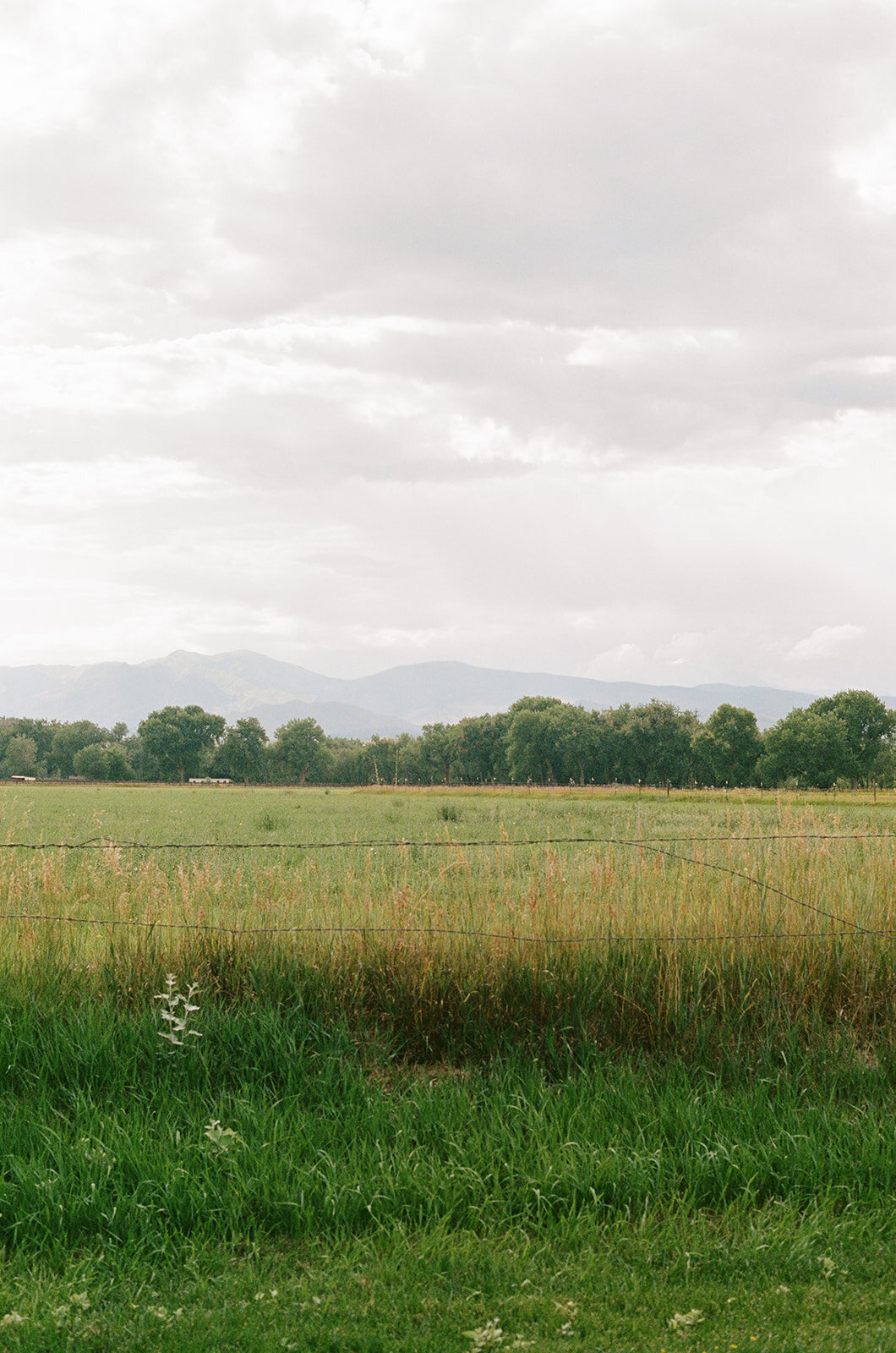 coloradostyleshootfilm-0036