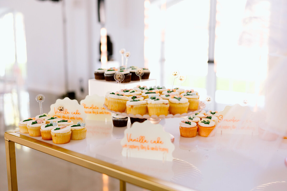 Wedding Planner Arkansas281