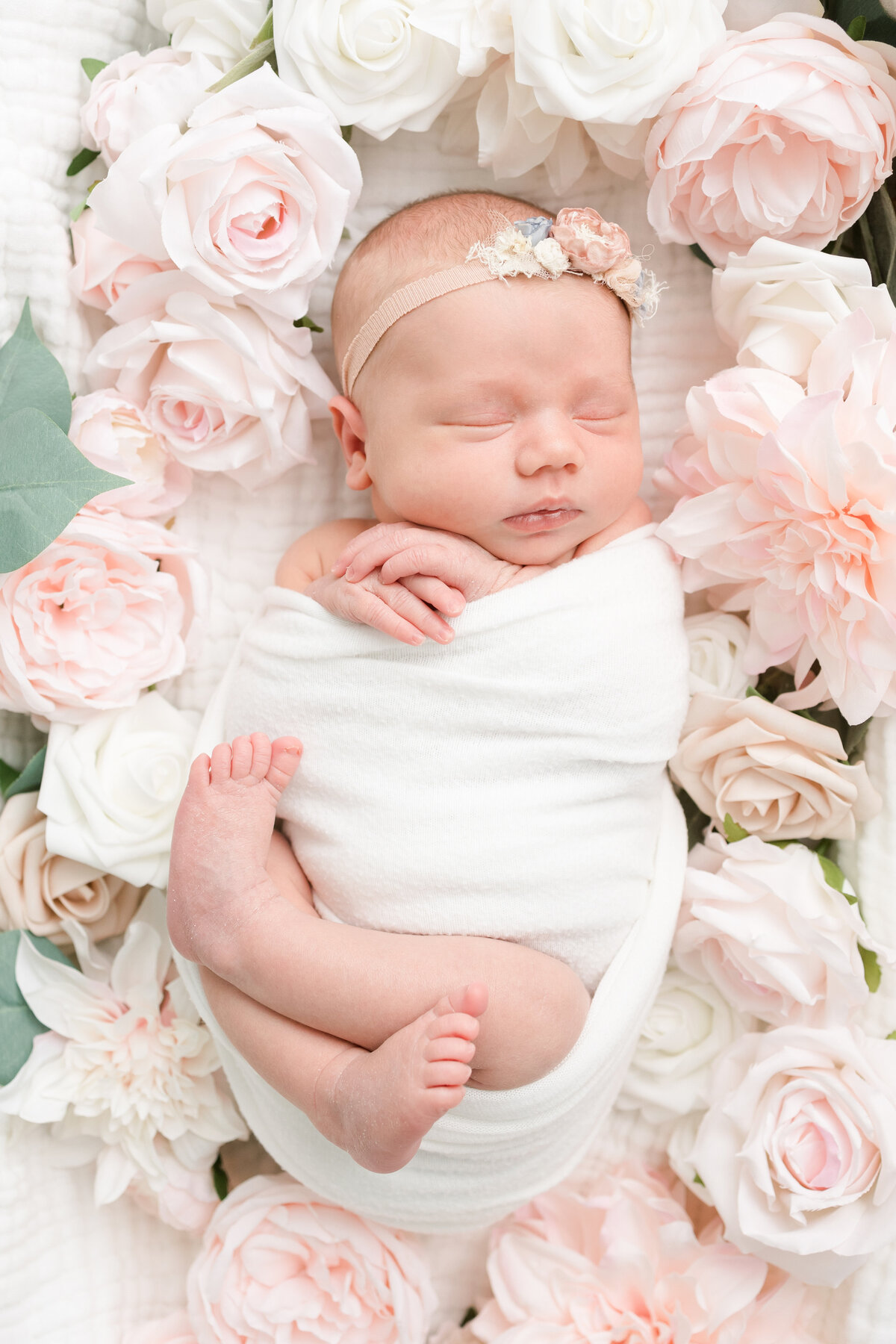 Houston-newborn-photographer-1