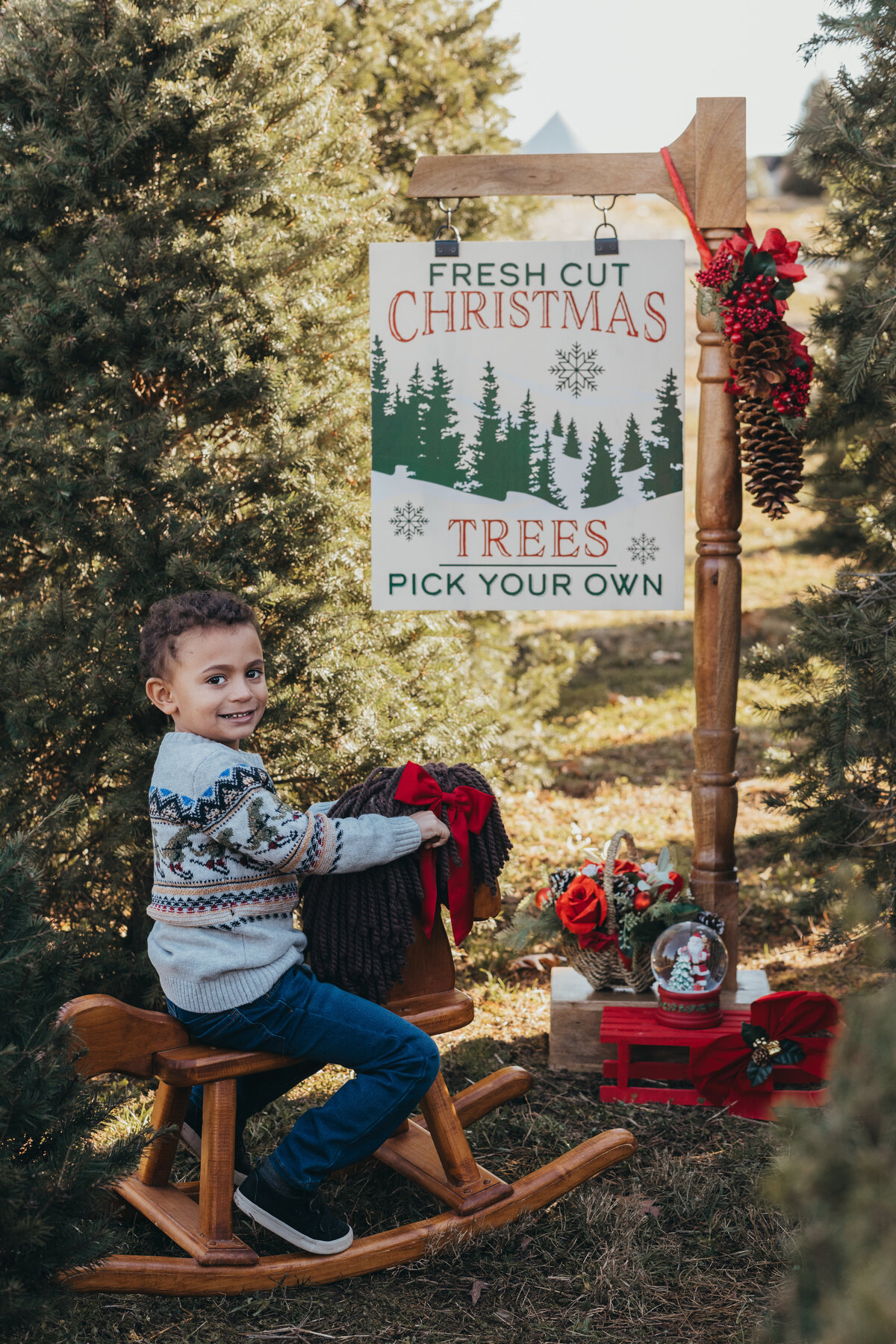 Love-To-Lens-Photography-Christmas-Tree-Farm-Minis-Hudson-Valley-NY (2)