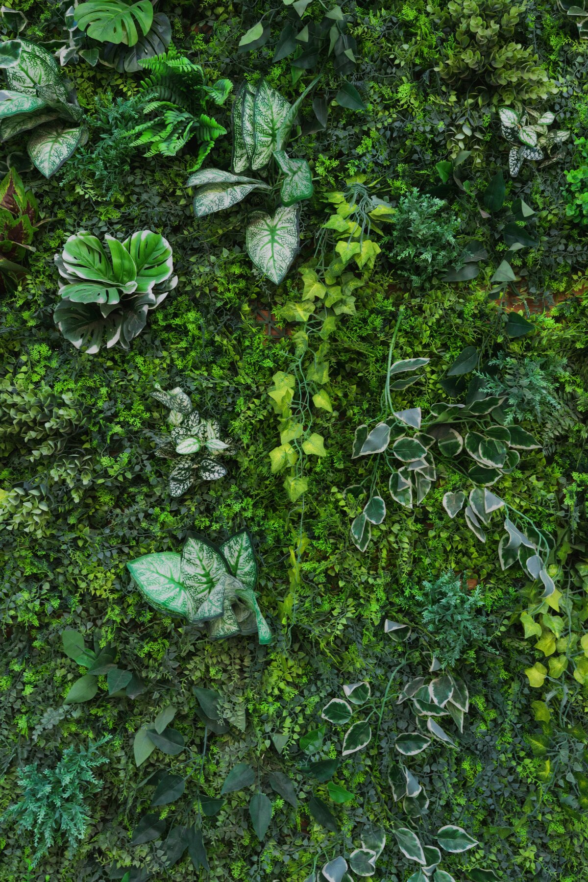 jonny-gios-BlDr6Id9ICo-unsplash