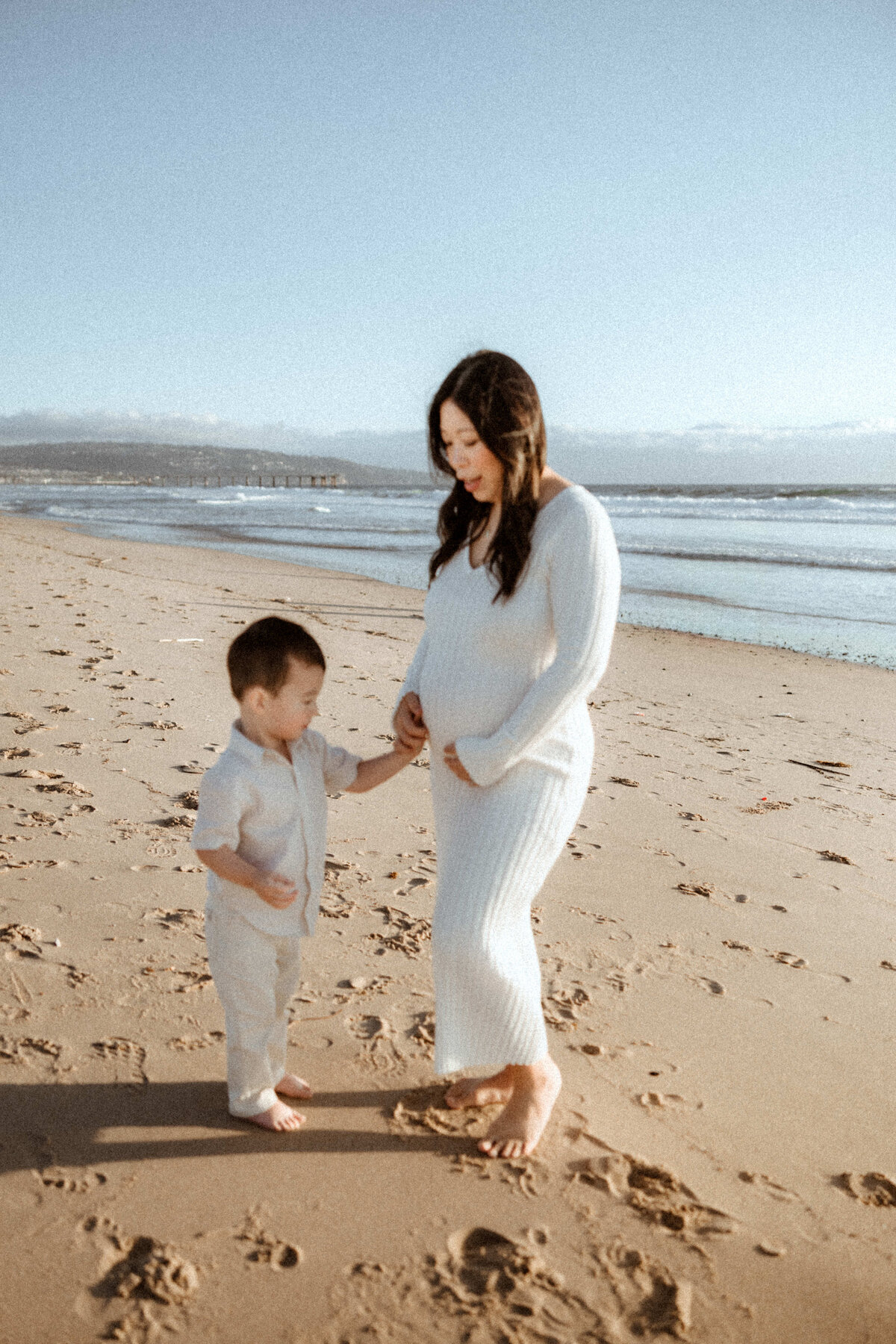 la family photographer 7
