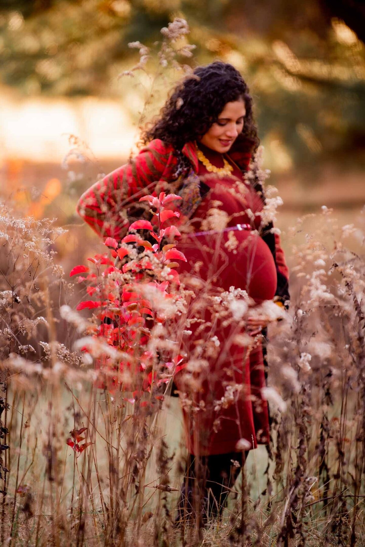 Jacksonville Maternity Photographer Erin Tetterton Photography