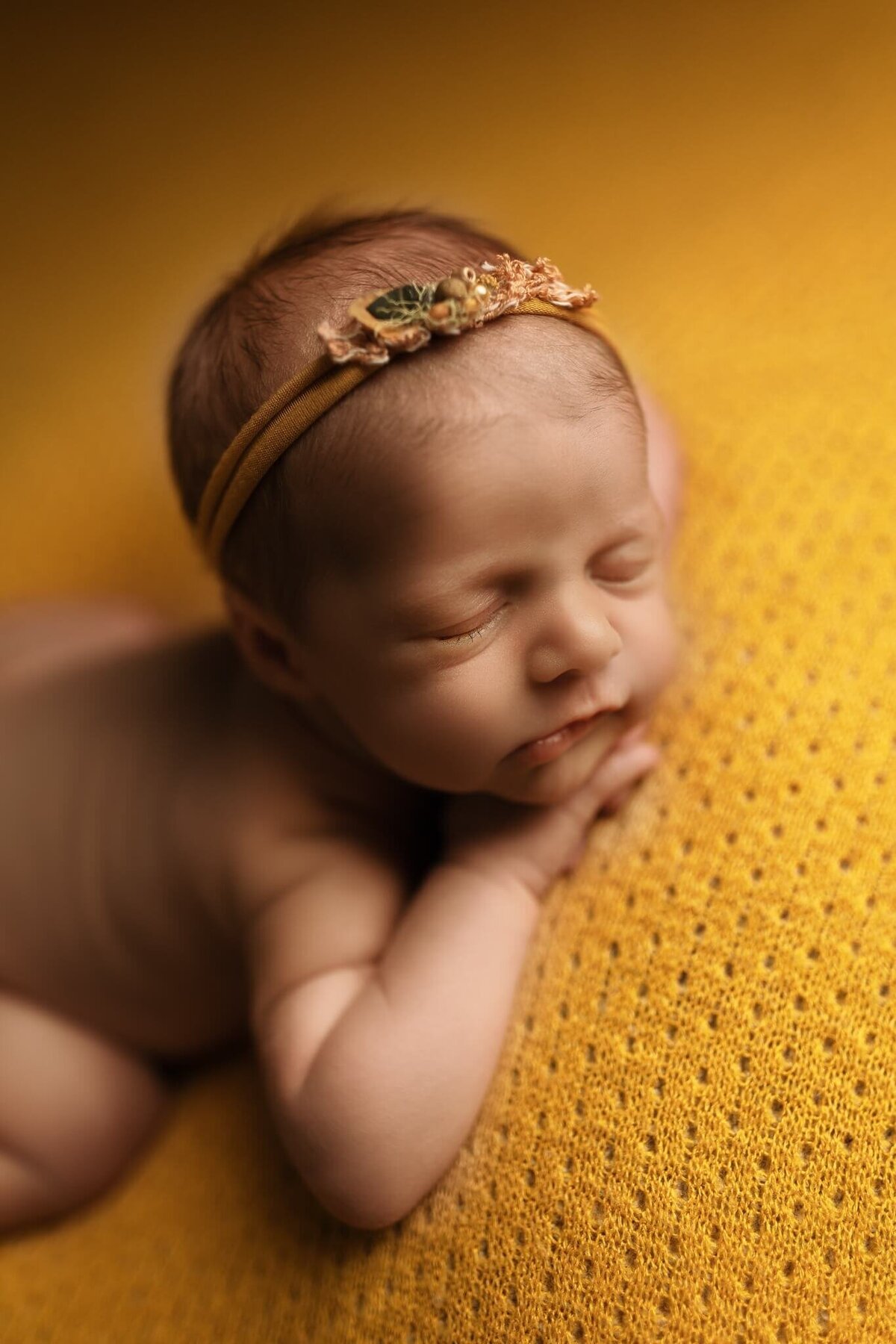 Nw Arkansas newborn photographer, newborn photography near me, newborn portraits in NW Arkansas