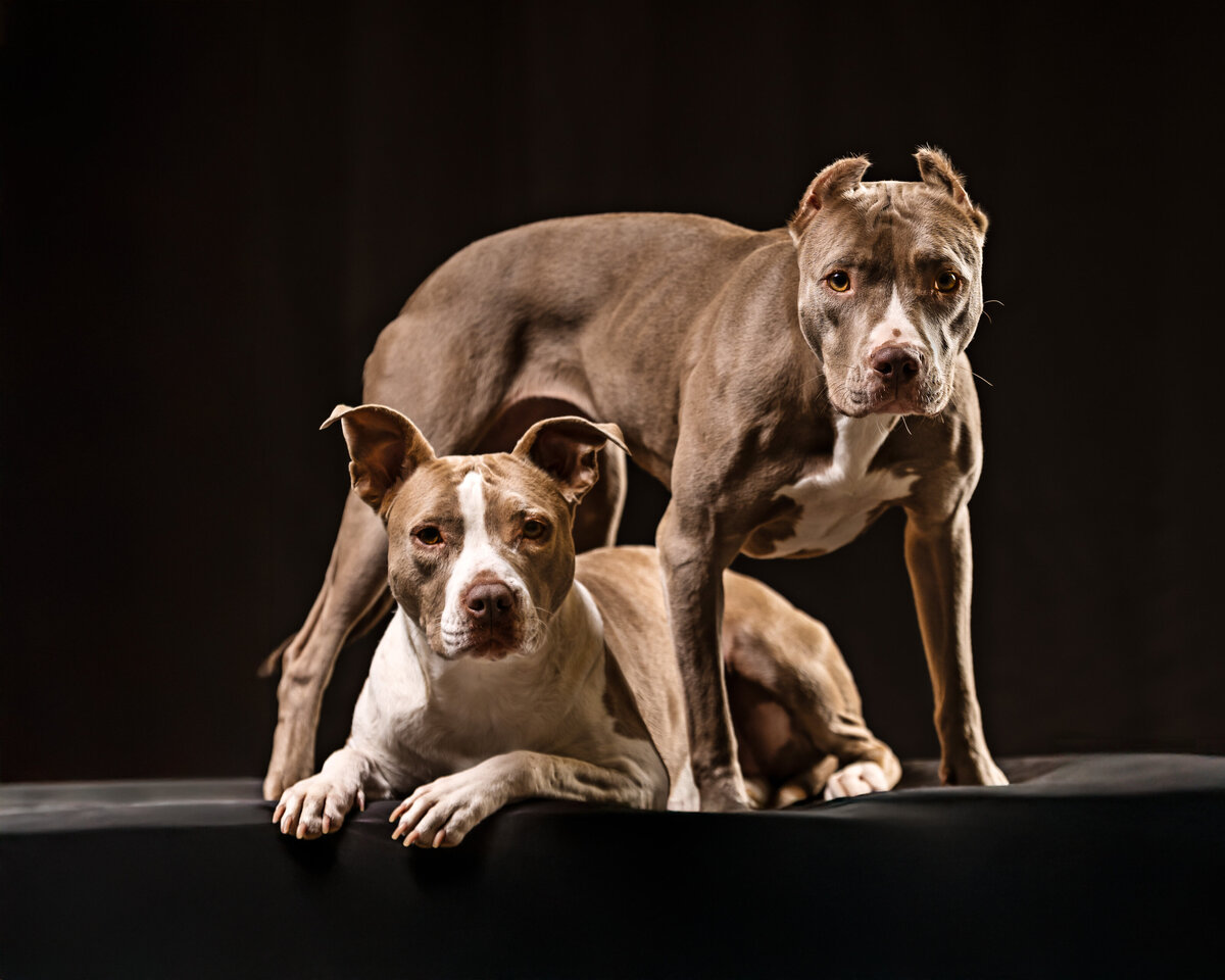 IMG_2492-Edit