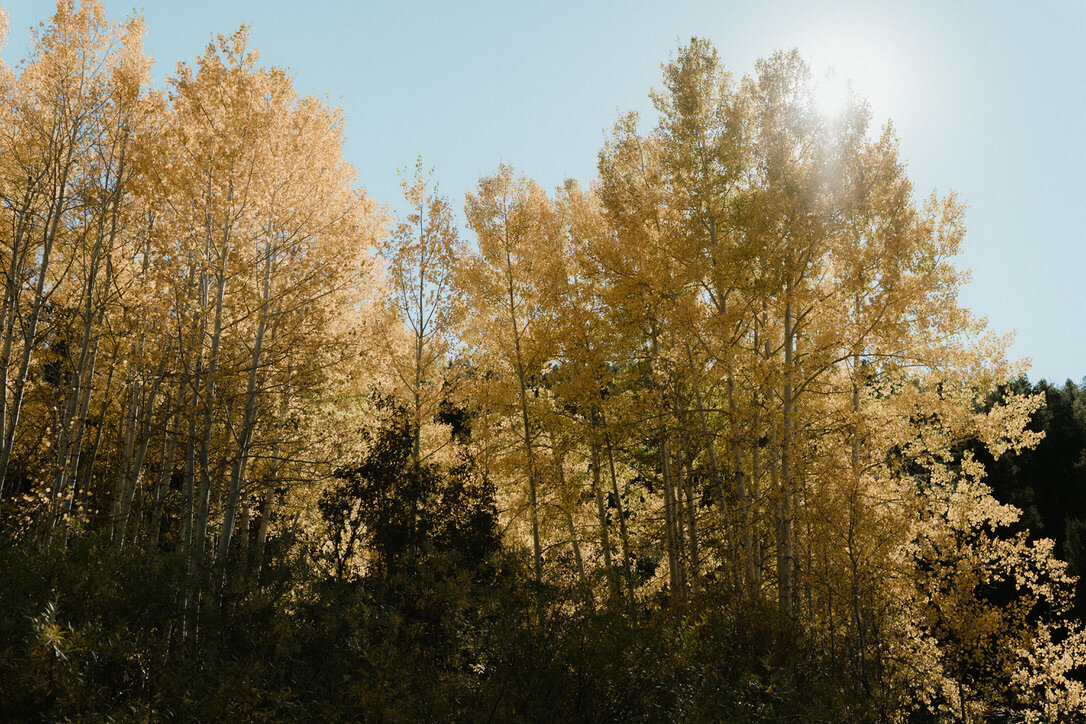 1E3504E9-FC6B-4C96-A9EF-6A9584143576_1_105_c