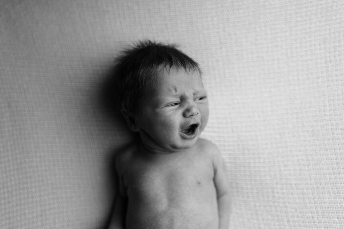 Nw Arkansas newborn photographer, newborn photography near me, newborn portraits in NW Arkansas