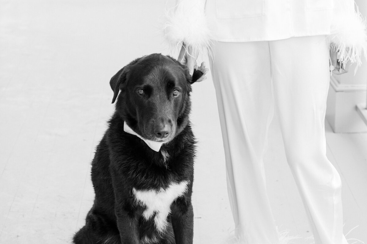KateEdwardsWeddings_Lisa&Jacob_ValleyRockInn-8