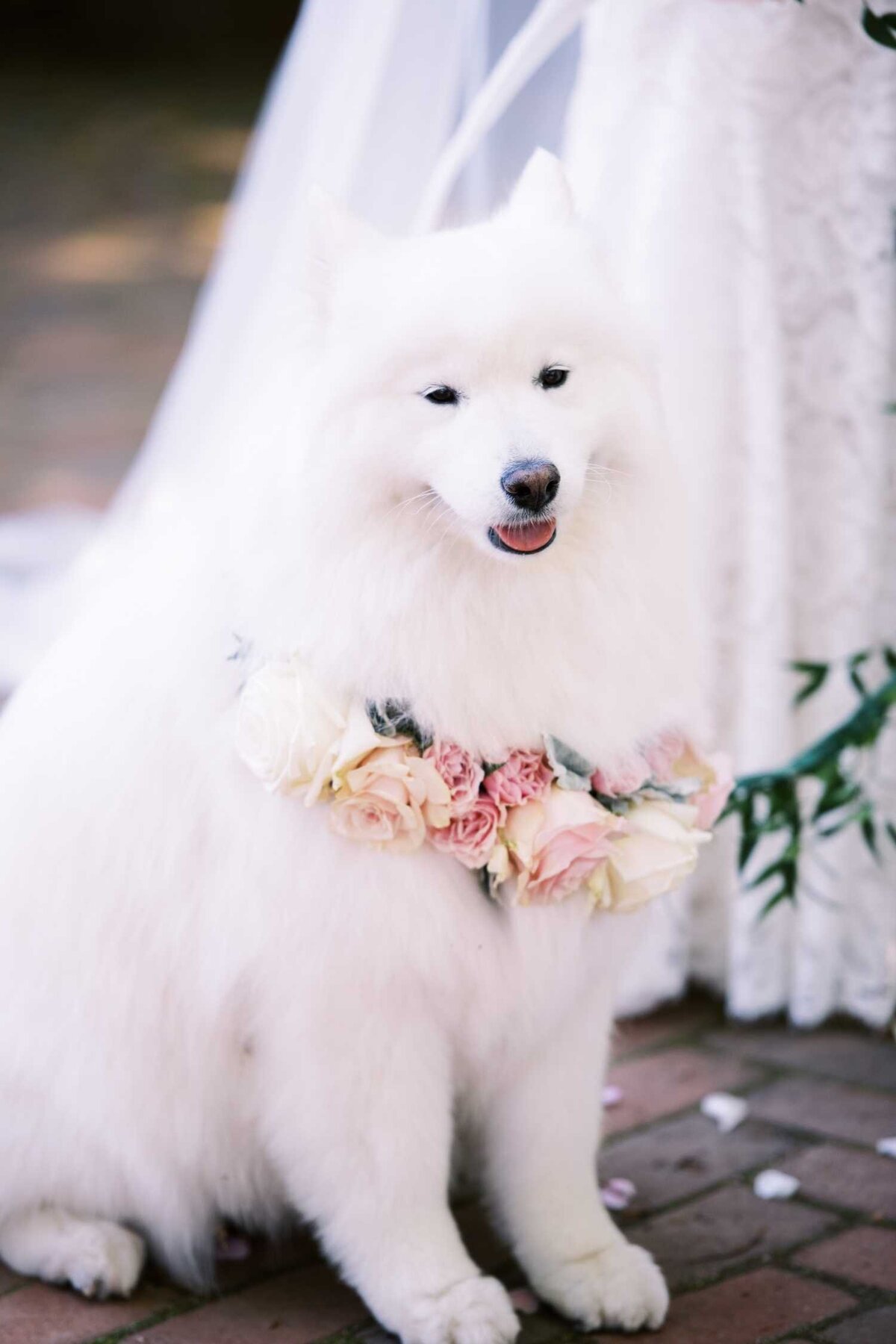 Dog in Wedding Ceremony with Floral Collar at Luxury Chicago North Shore Garden Wedding Venue