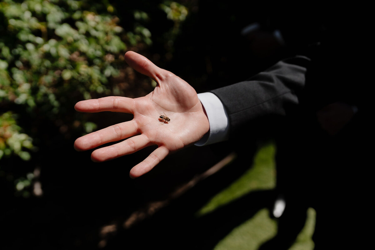 falkner winery temecula wedding 87