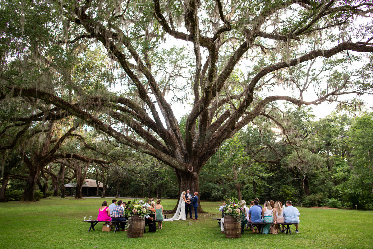 eden gardens wedding photographer, gwyne gray photography