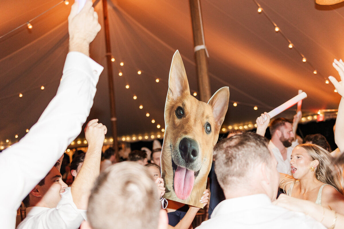 KatieShowalterPhotography_Ludwig-1204