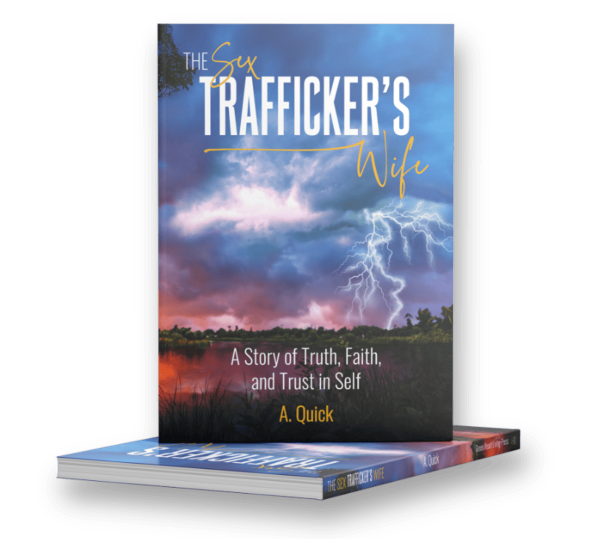 Book Cover Design for The Sex Trafficker's Wife Book