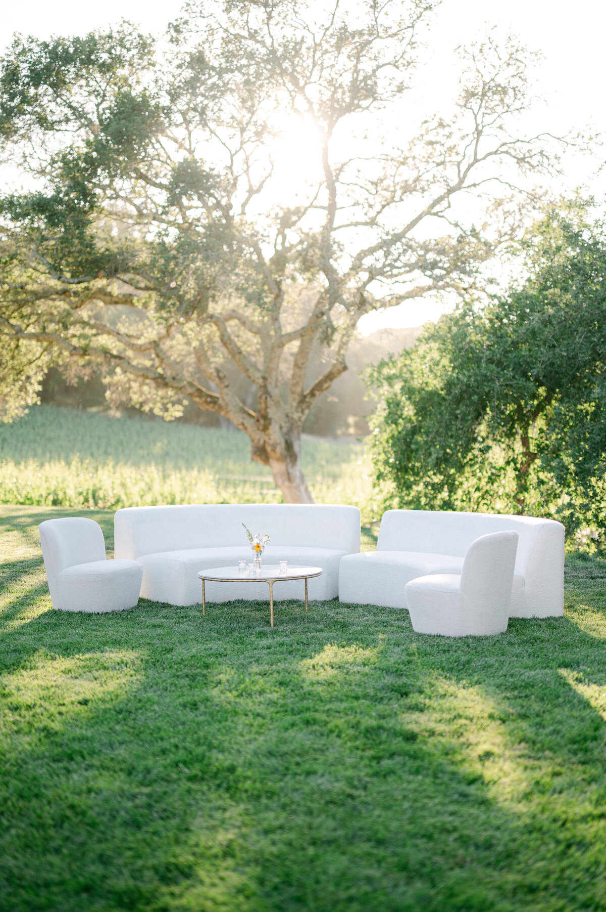 Napa_Wedding_Kat_Luke-1330