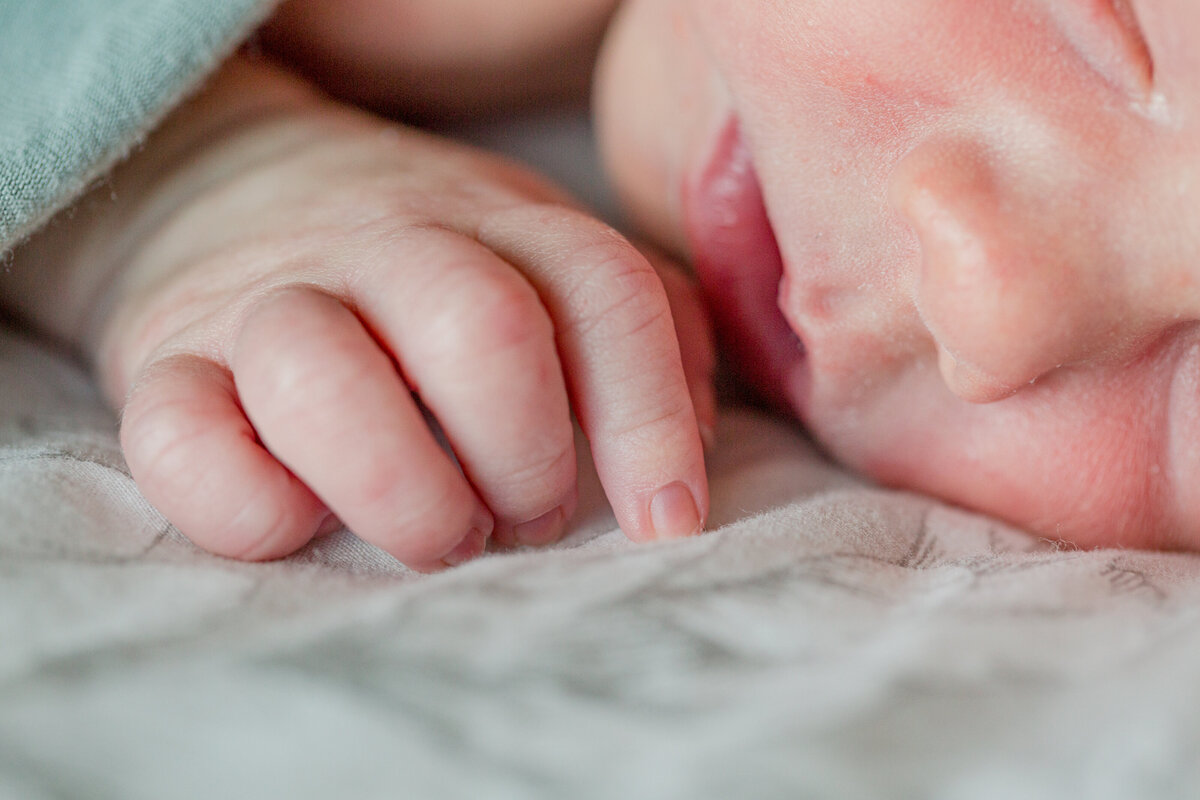 Detail close up photo of an infant during a newborn photo session in Boone, NC.