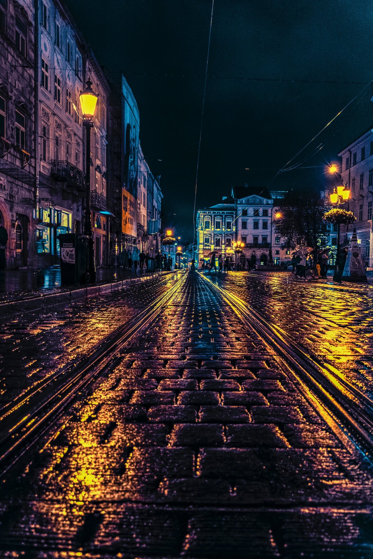 pexels-artem-lysenko-2301177