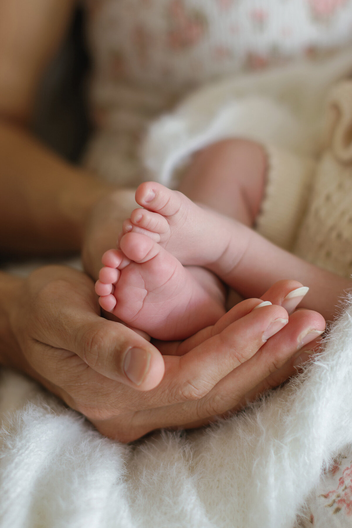 Newborn in-home photo sessions cronulla