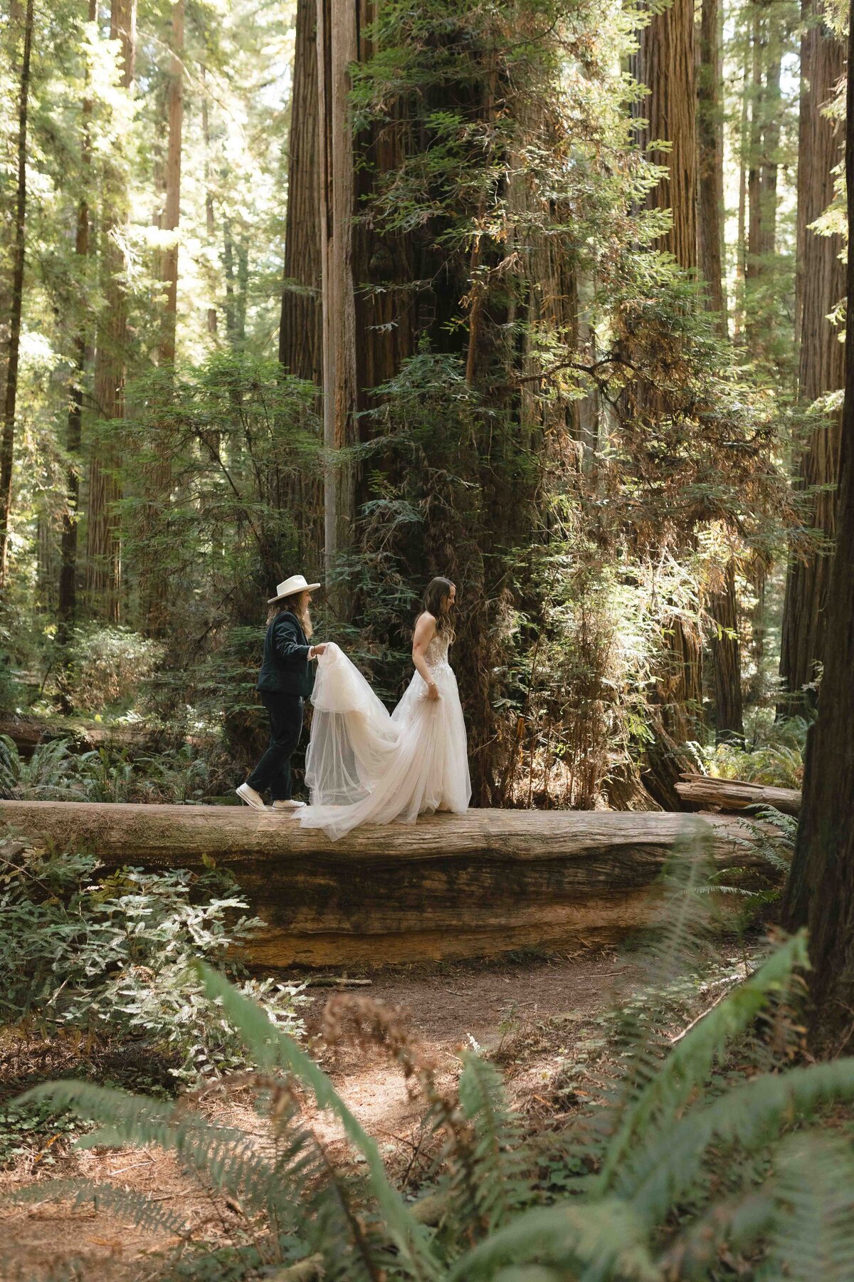 Iconic elopement spot in the Redwoods National Park