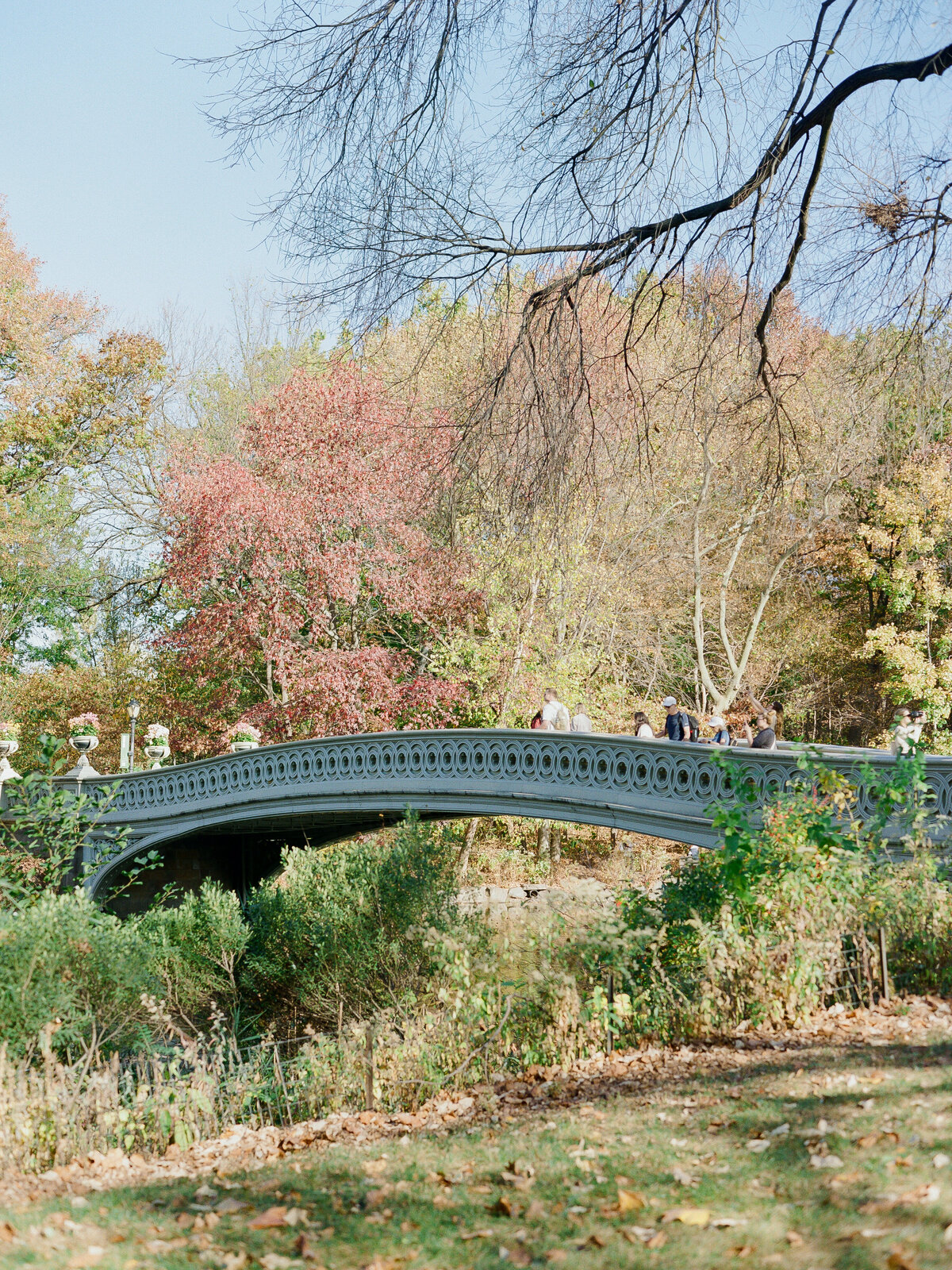 Bethesda-Terrace-Engagement-Photos-7