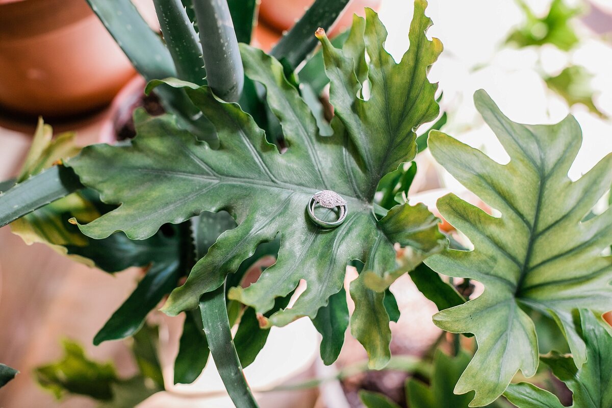 Toronto-Forest-Garden-Wedding-LauraClarkePhotos_0045