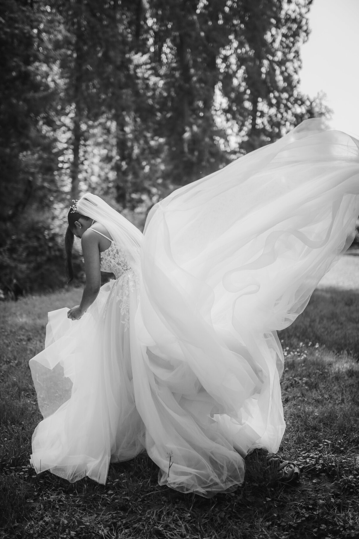 IMG_0533-2