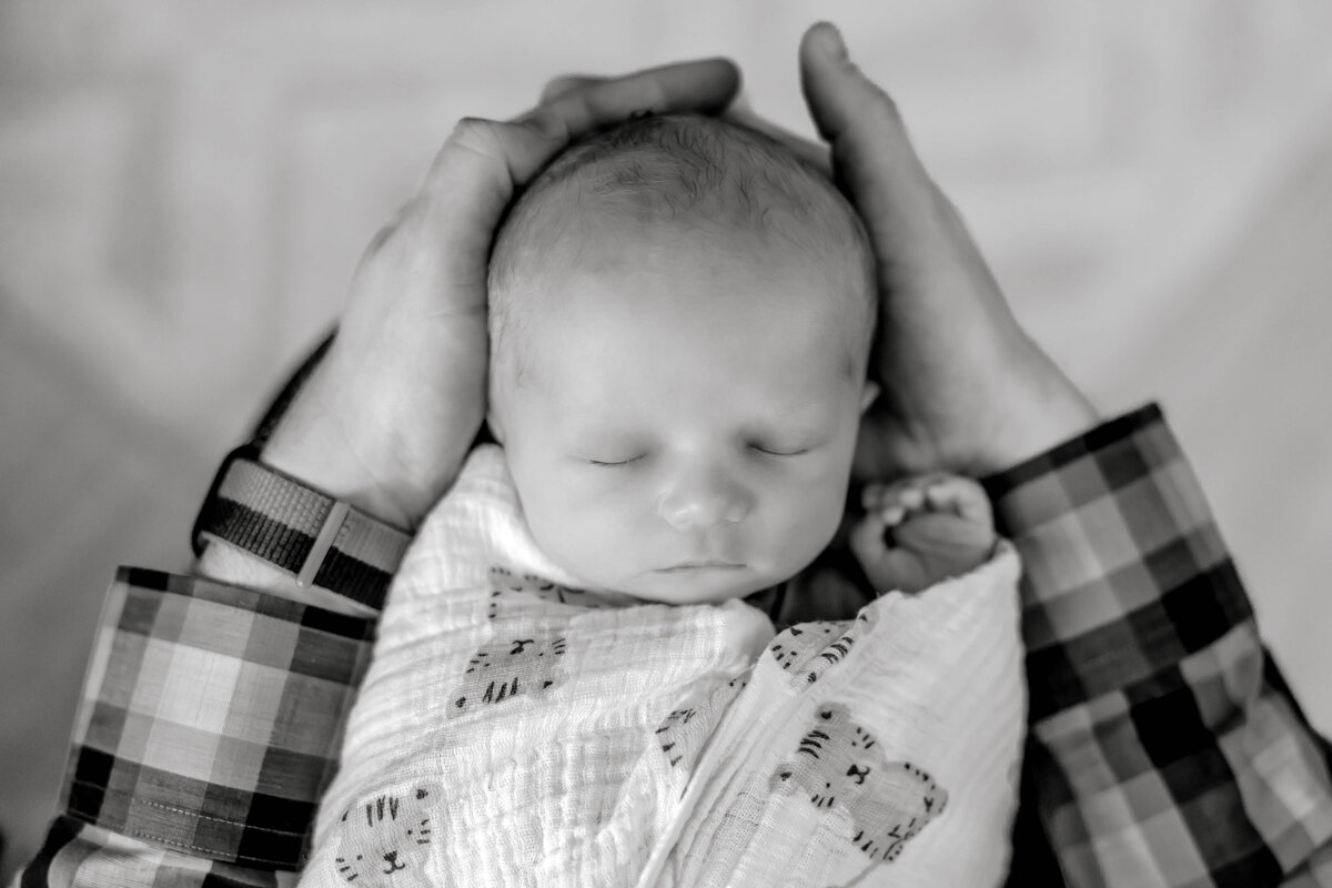 Powell Newborn-81