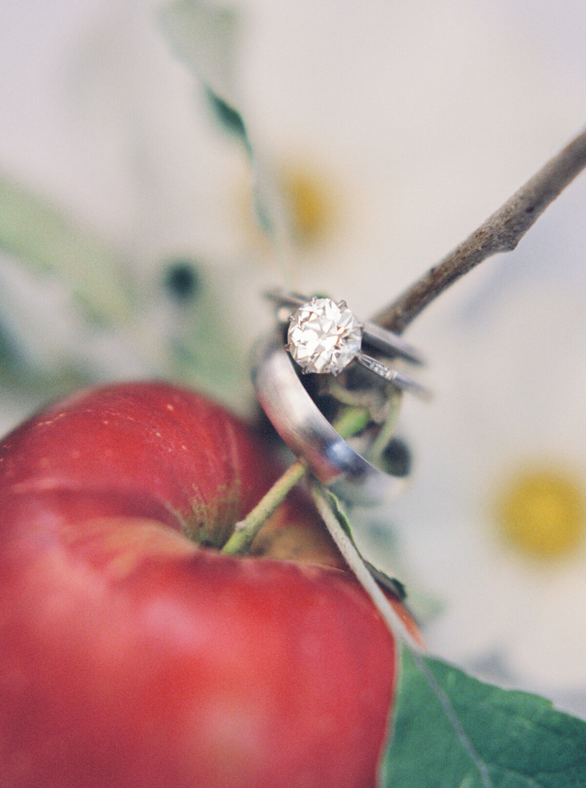 apple_orchard_wedding_Longmont_colorado_mary_ann_craddock_photography_0024