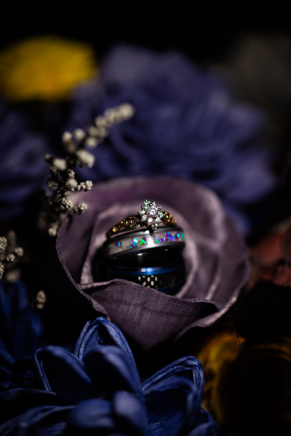 Melissa & Tyler previews-web_MTP--5