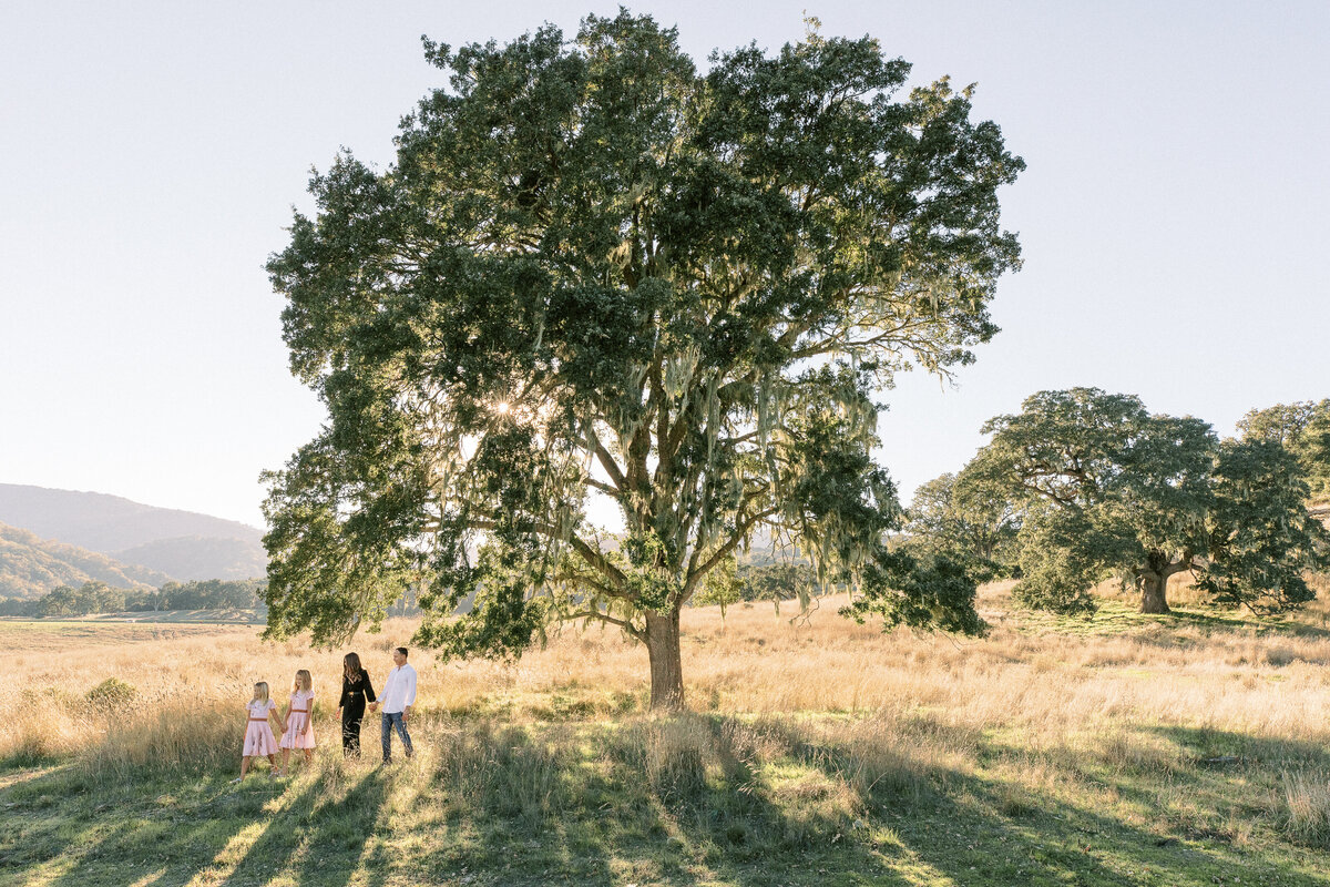 Lifestyle Photographer - Santa Cruz California - Carlie Statsky Photography - 74
