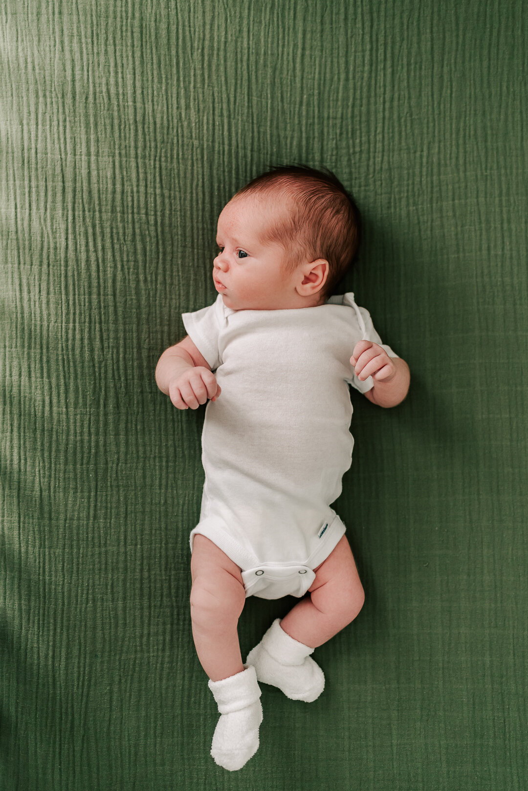 DVP-Northern-VA-Newborn-Photographer-21