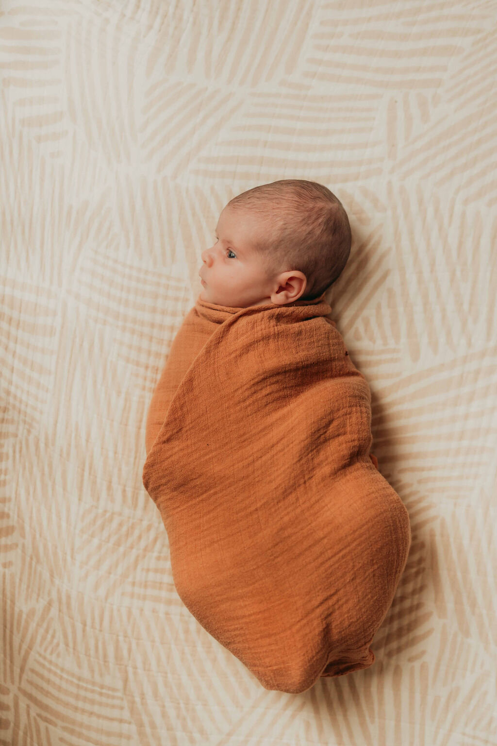 michigan newborn photography8