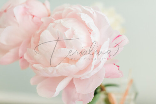 Floral Prints Photography in Orange County, CA