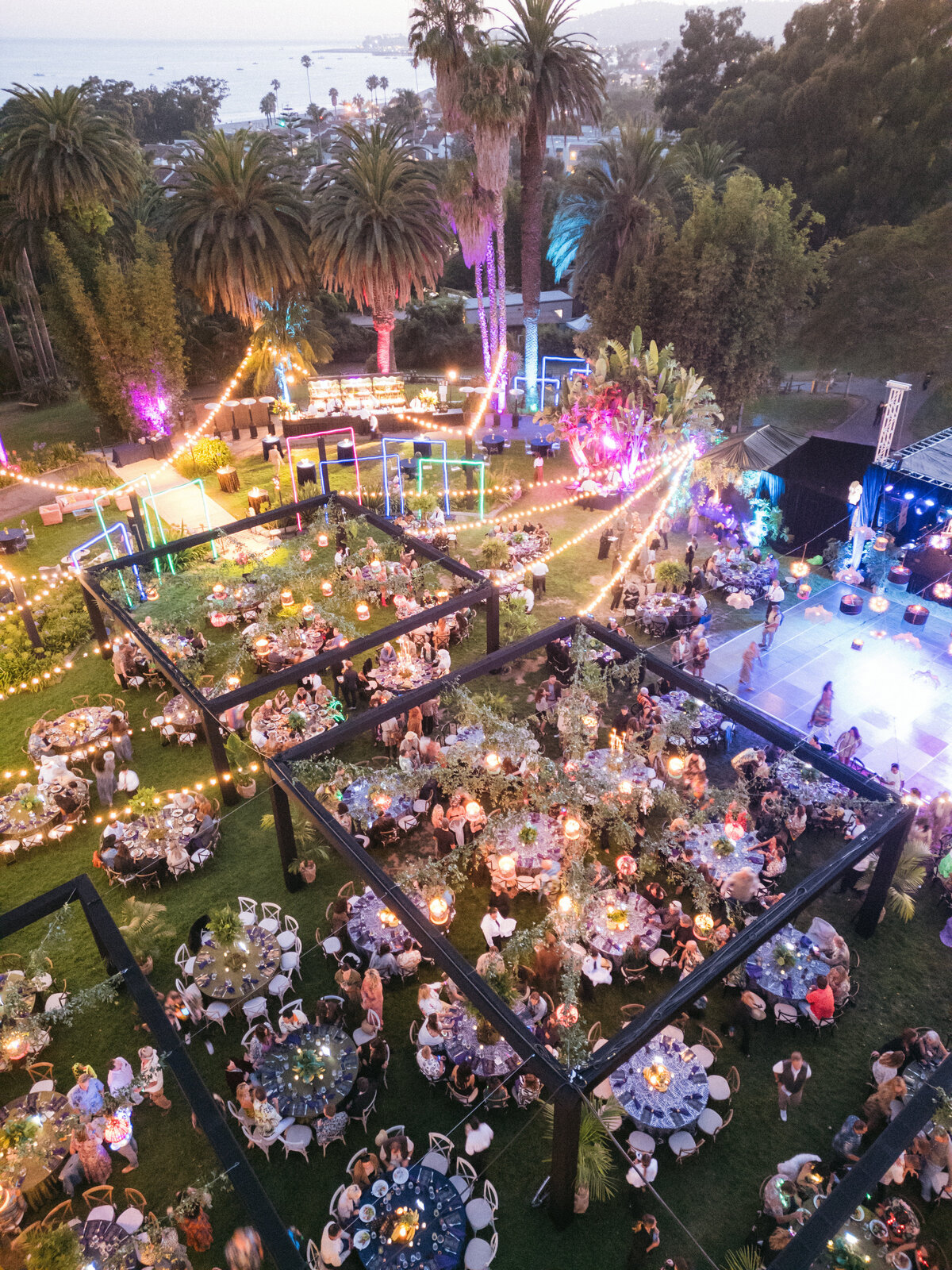 Tyler Speier Events - Zoofari2024-12