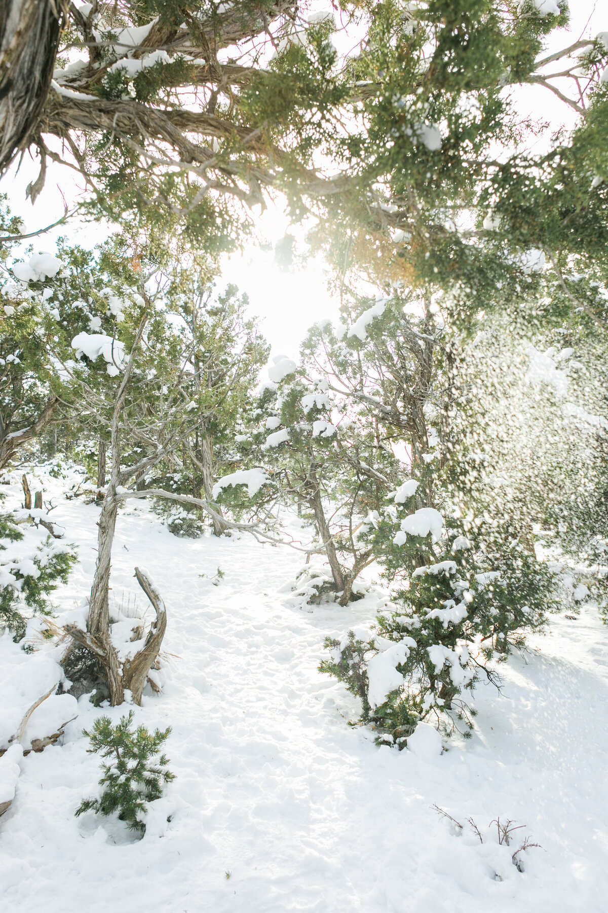 jacqueline_campbell_photography_grand_canyon_snow_16