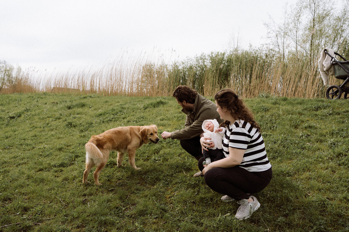 Newborn fotograaf