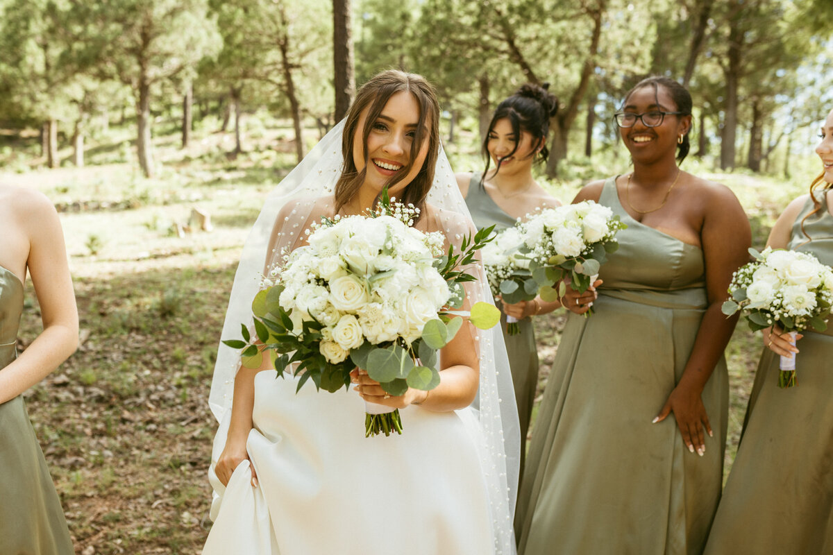ArizonaMountainWedding66