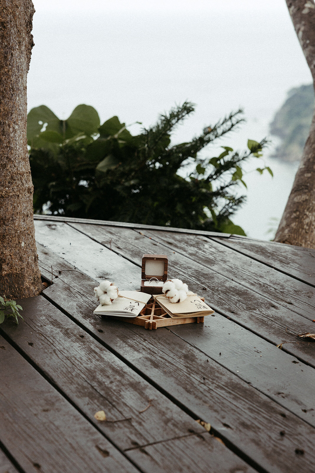 JapanElopement-DallinHazard-8