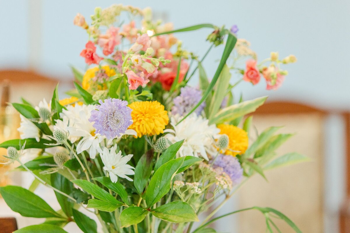 20240622-Phelps Hathaway House Wedding-Suffield CT-Gina Ben-00-Sneak Peek-1