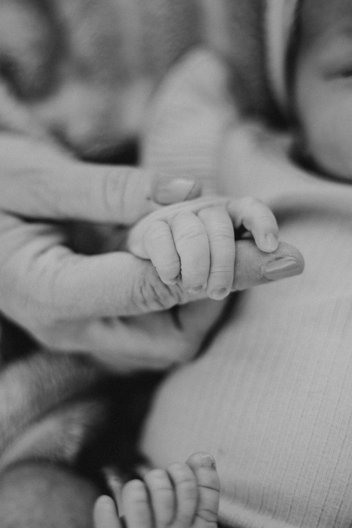 texas-newborn-photographer-08