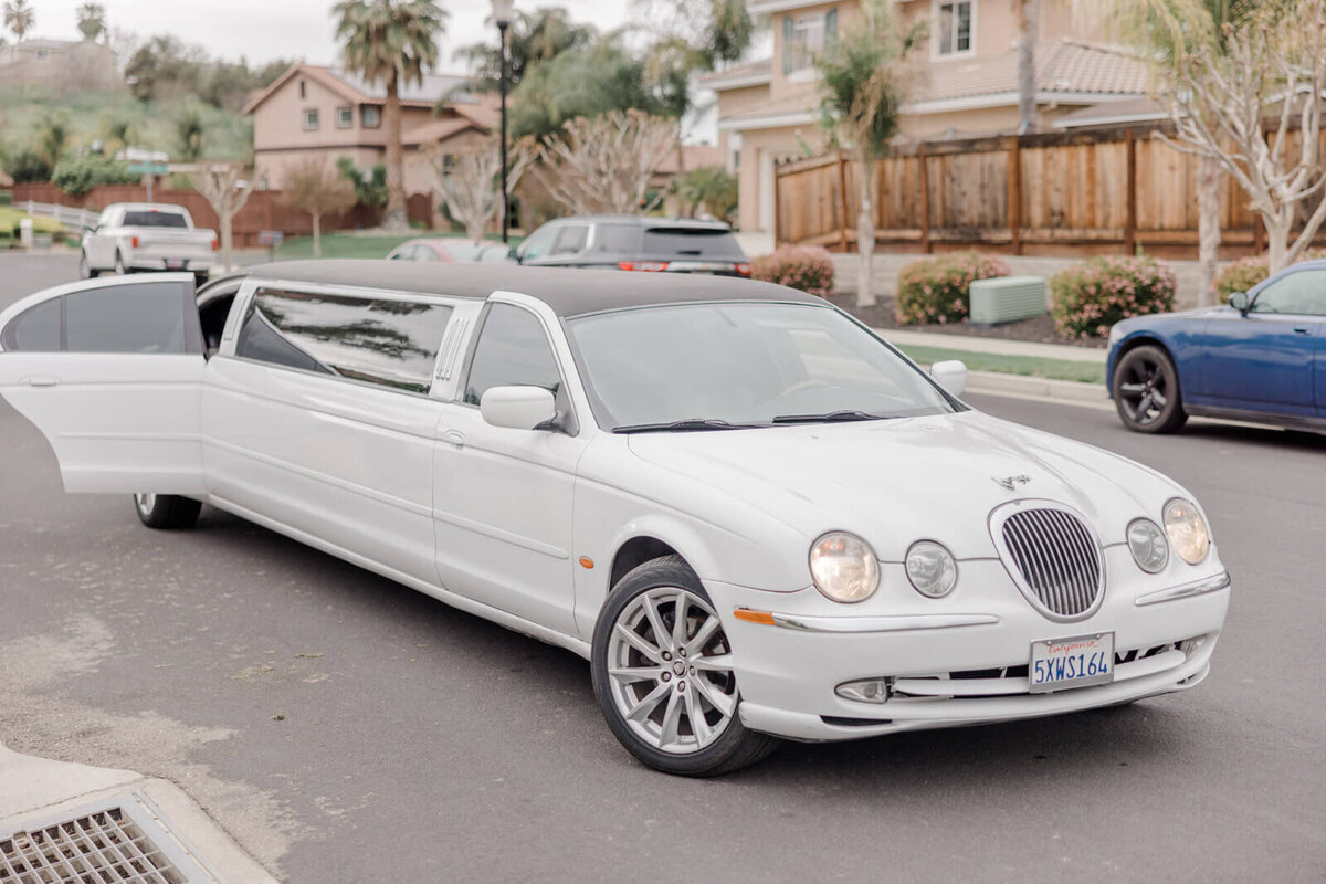 Wedding portraits captured by Vanessa Montano Photography – Livermore vineyard at sunset.