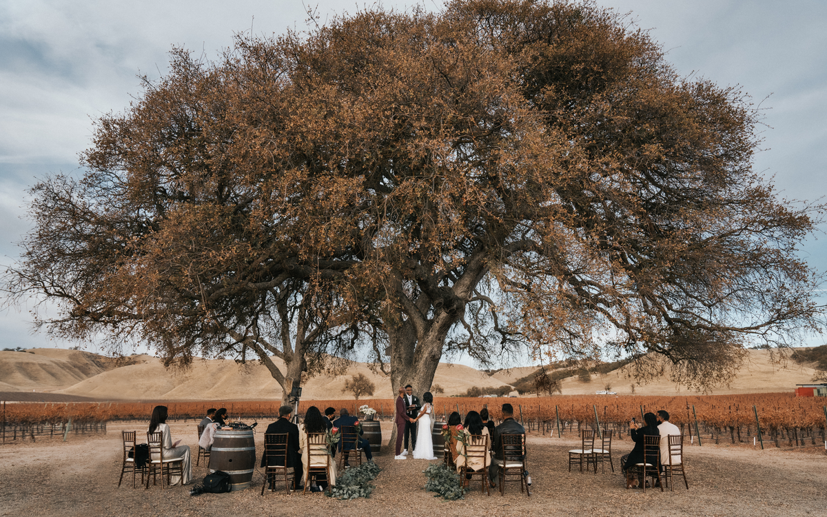 auburn-blue-photography-rustic--vinyard-wedding-cass-winery-geneseo-inn-paso-robles-california-1_mobile