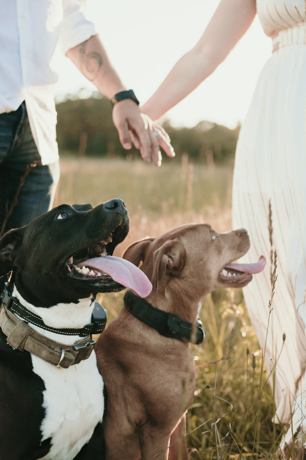 Ashes Photography Couples Session -3